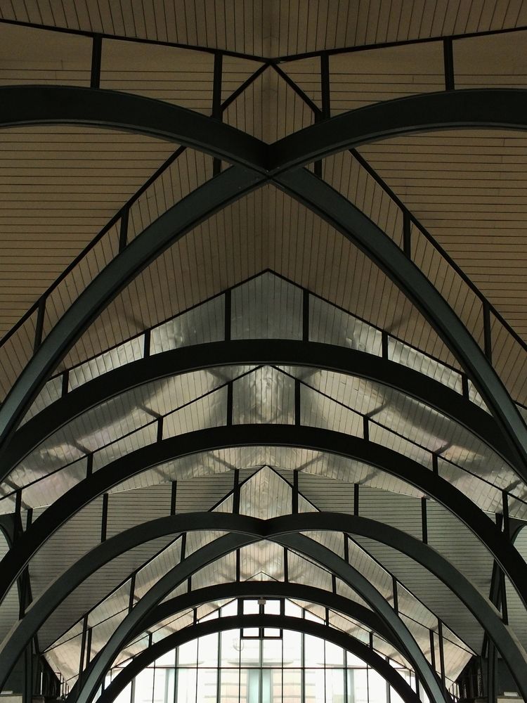 Фотография автора Андрей Шестаков