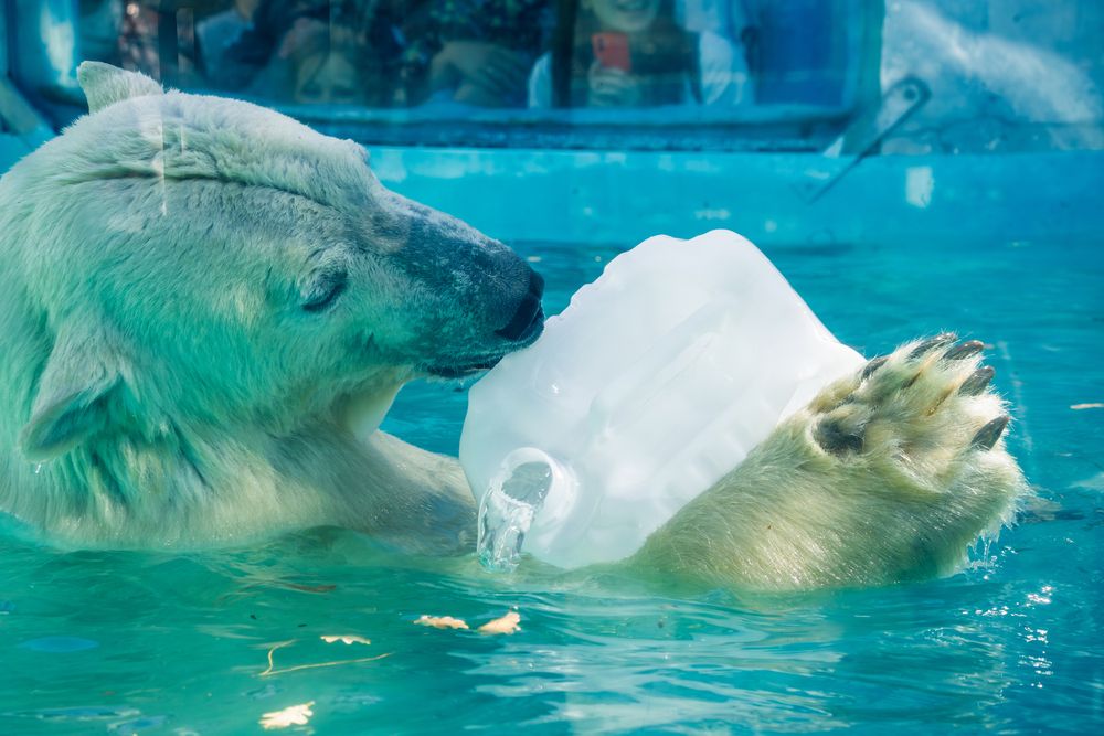 Фотография автора Владимир Хакимов