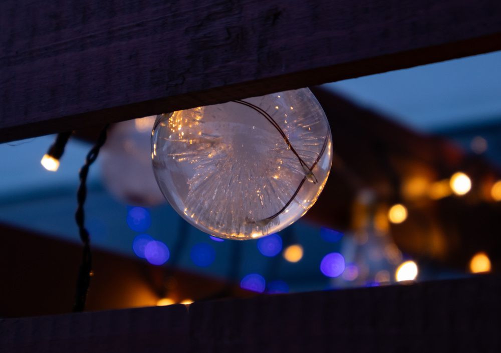 Photograph by andrey denisov