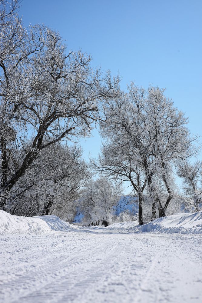 Photograph by Елена Ивашина