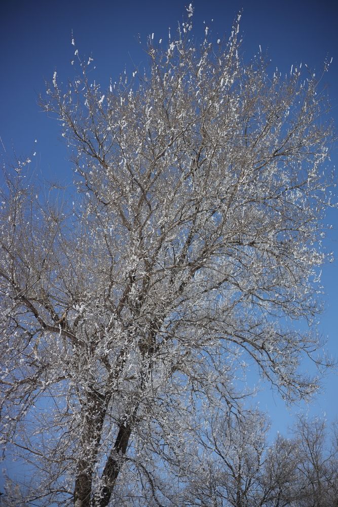 Photograph by Елена Ивашина