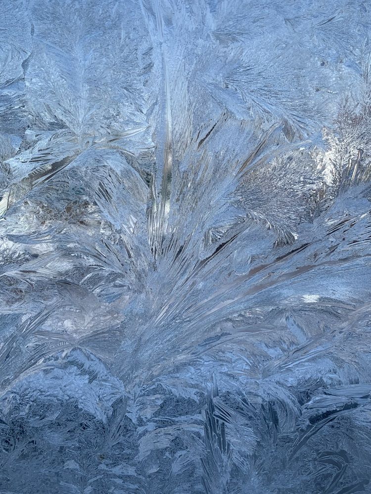 Photograph by Татьяна Семёнова