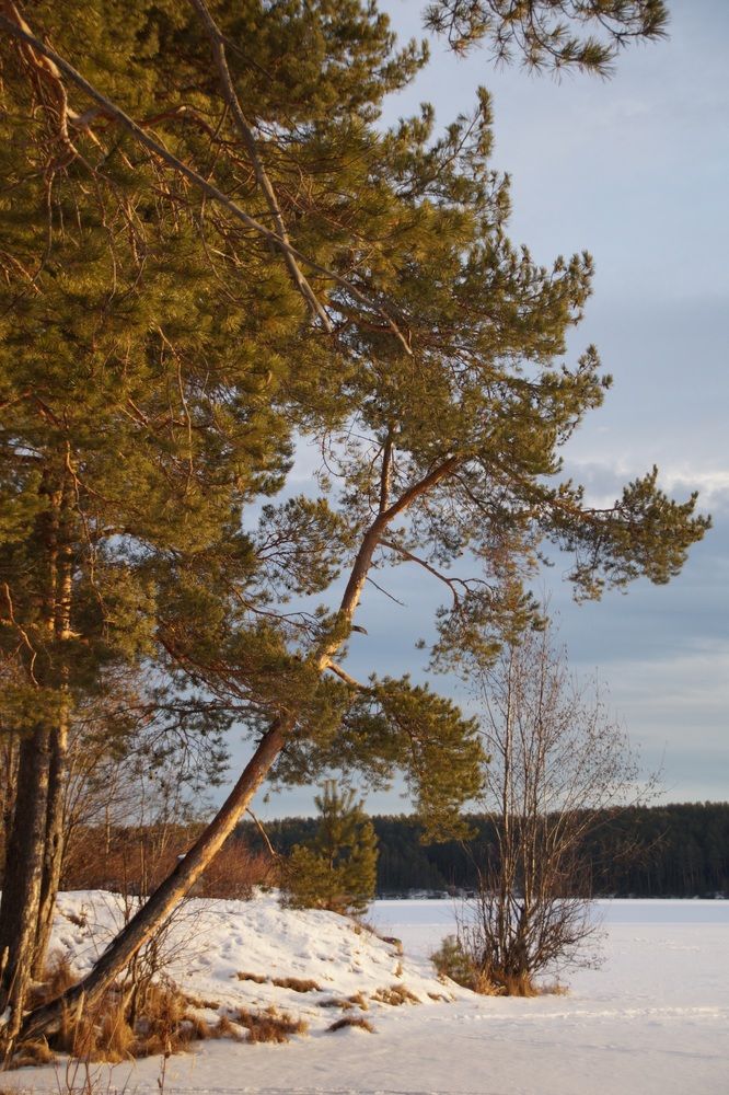 Photograph by Светлана Болтовская