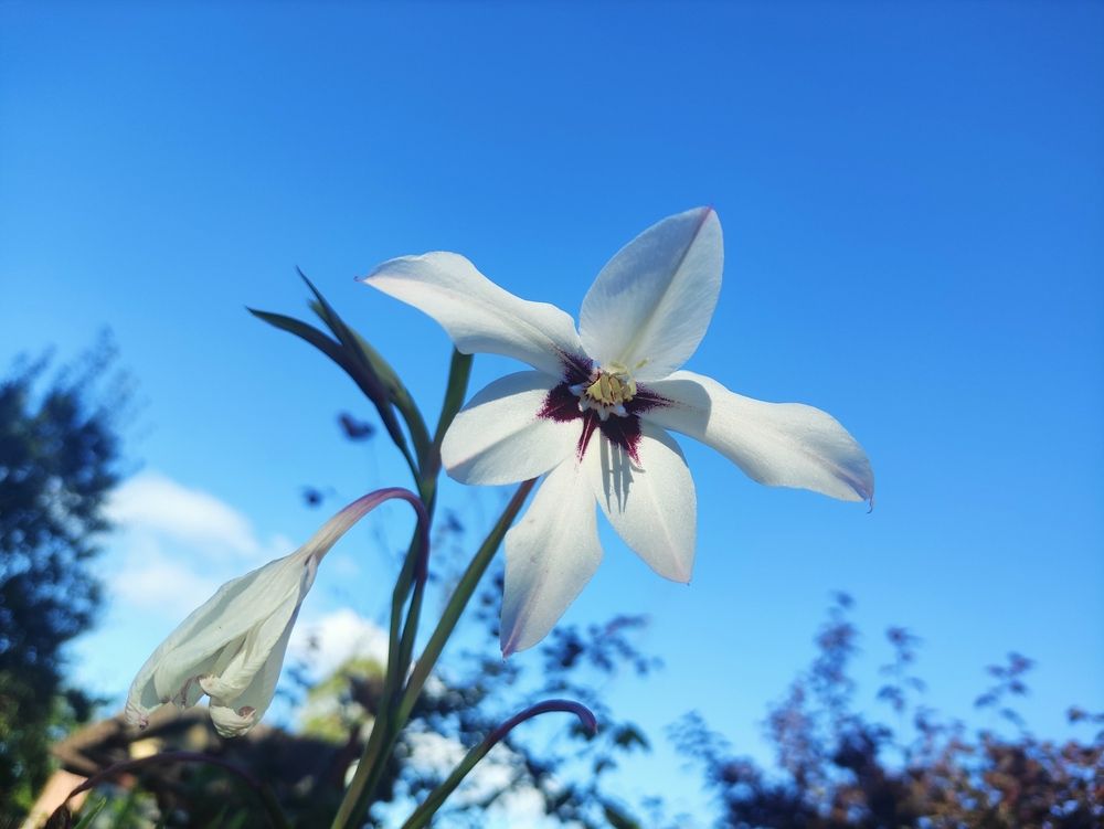 Photograph by Юлия Новожилова