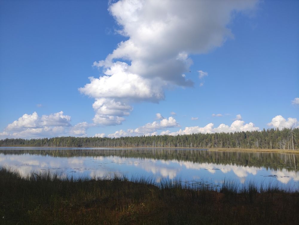 Photograph by Юлия Новожилова
