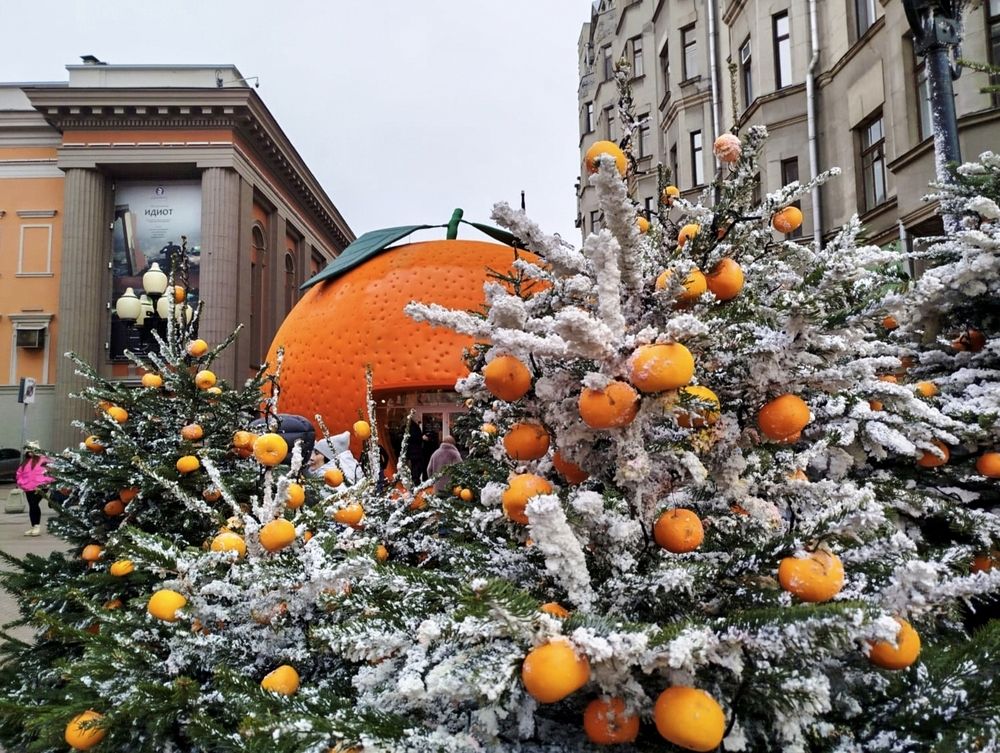 Photograph by Sergey Kurkov-Tarkovsky