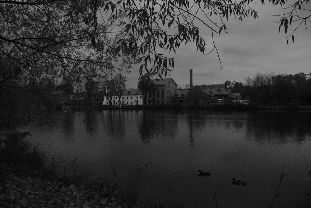 Photograph by Олег Черноокий