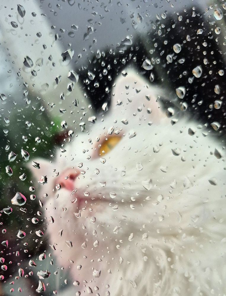 Photograph by Юля Копеева