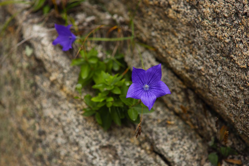 Photograph by Елена Ивашина