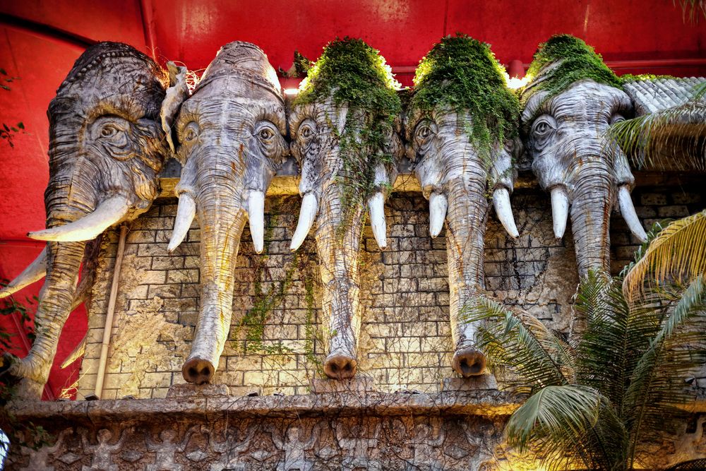 Photograph by Елена Ивашина