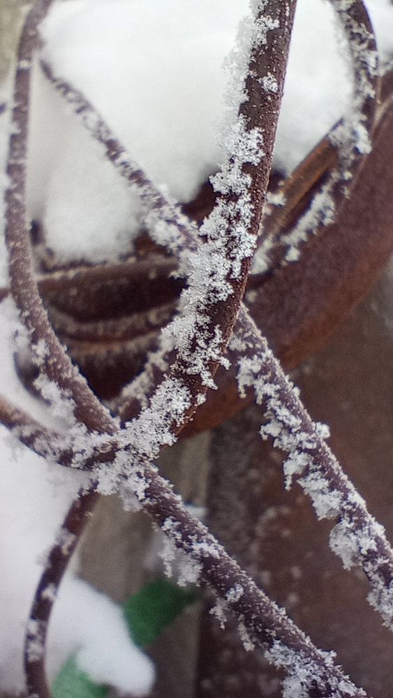 Photograph by Екатерина Казырицкая