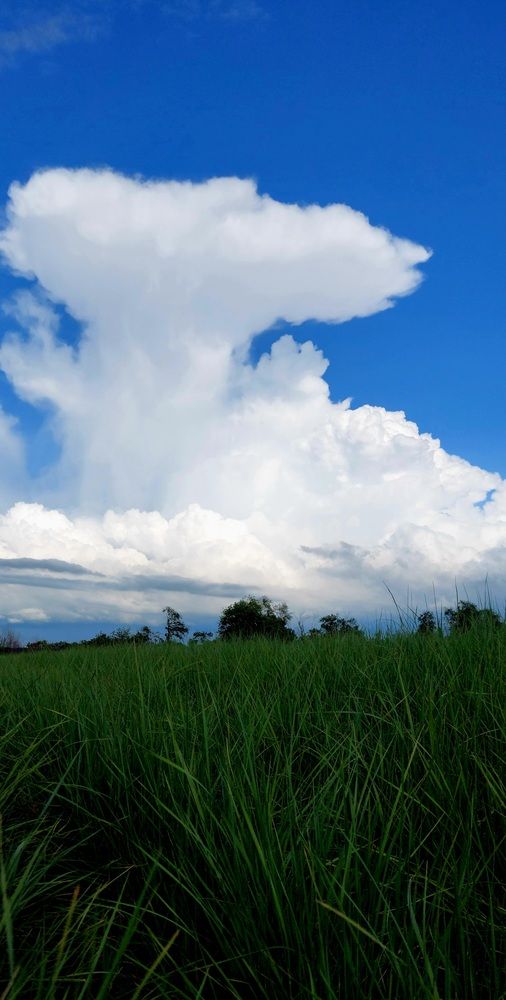 Фотография автора Светлана
