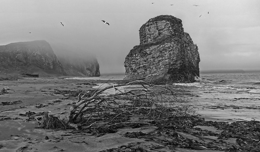 Photograph by Евгений Самулев