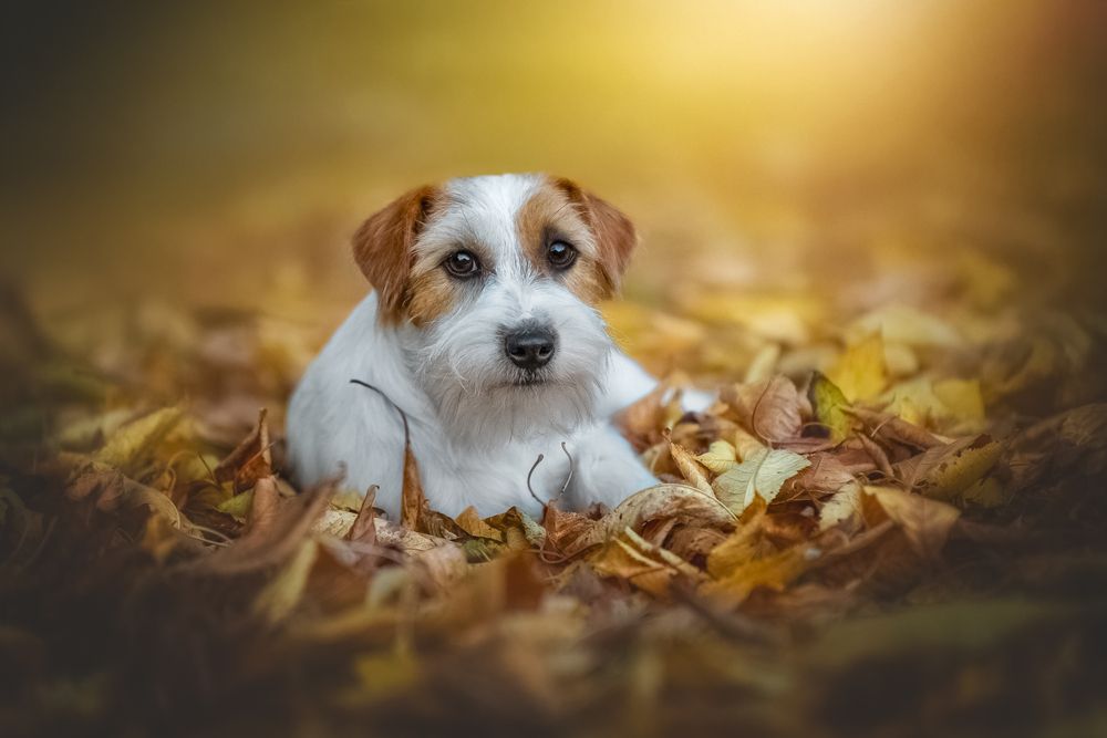 Photograph by Наталья Орел