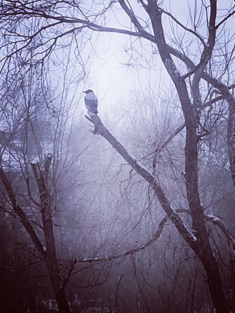 Photograph by Алексей Титков