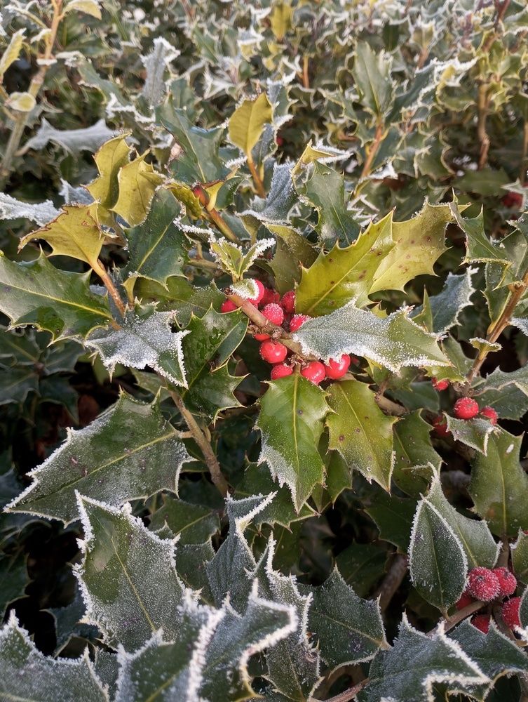 Photograph by Савина Анастасия Николаевна