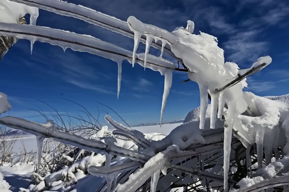 Photograph by Наталья Баранова