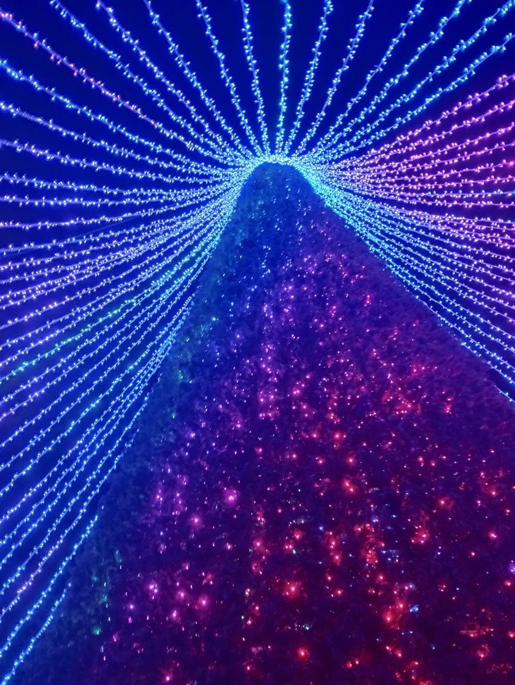 Photograph by Савина Анастасия Николаевна