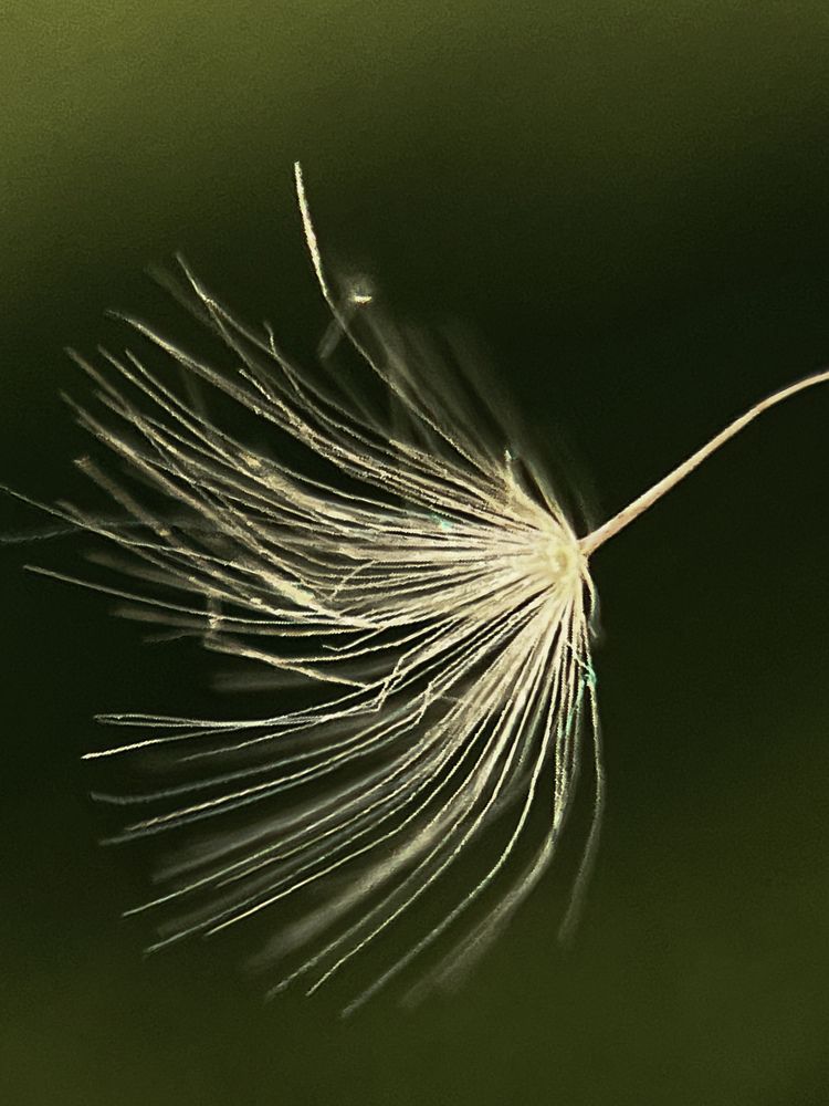 Photograph by Оксана Корепанова