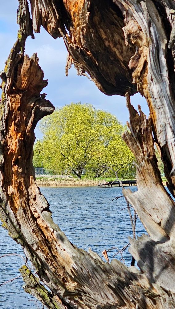 Photograph by Михаил Свиденцов