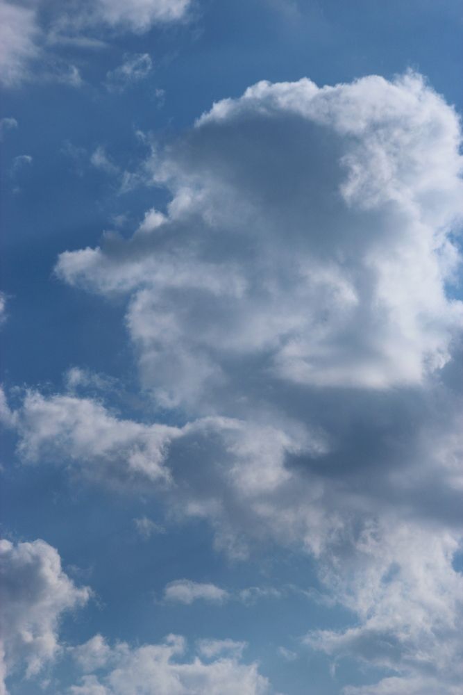 Photograph by Александр Велигура