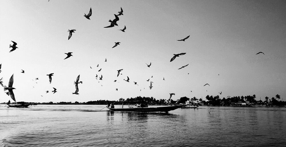 Photograph by Khushi Vashisth