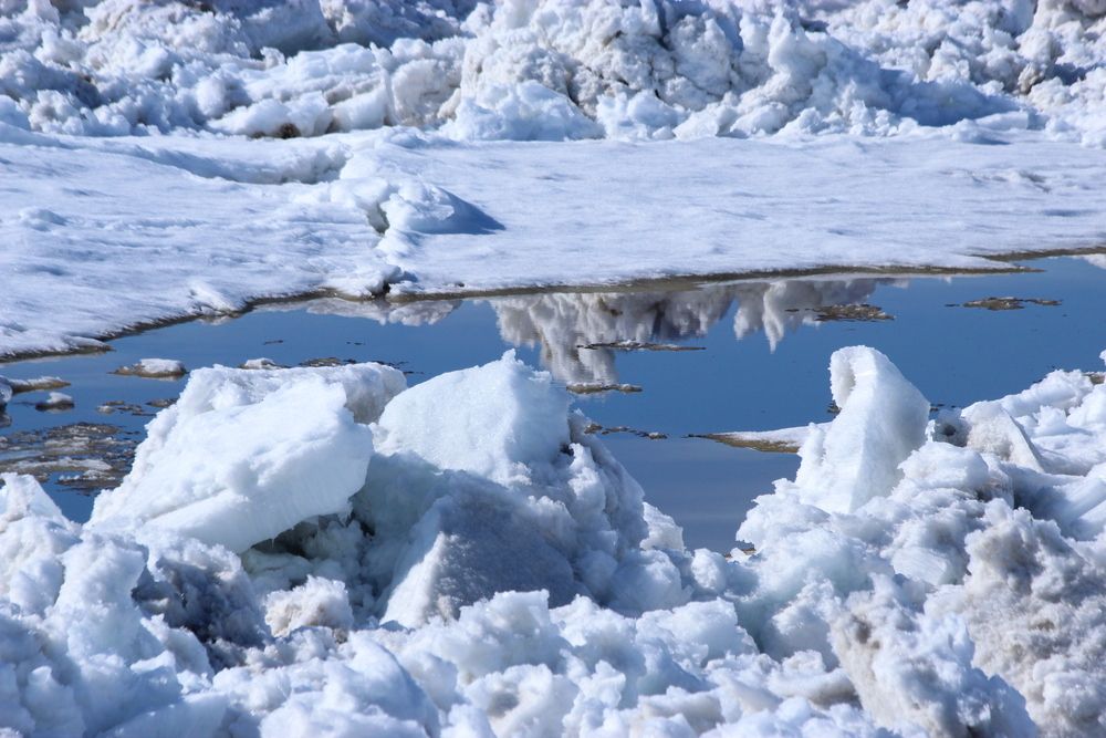 Photograph by Александр Велигура