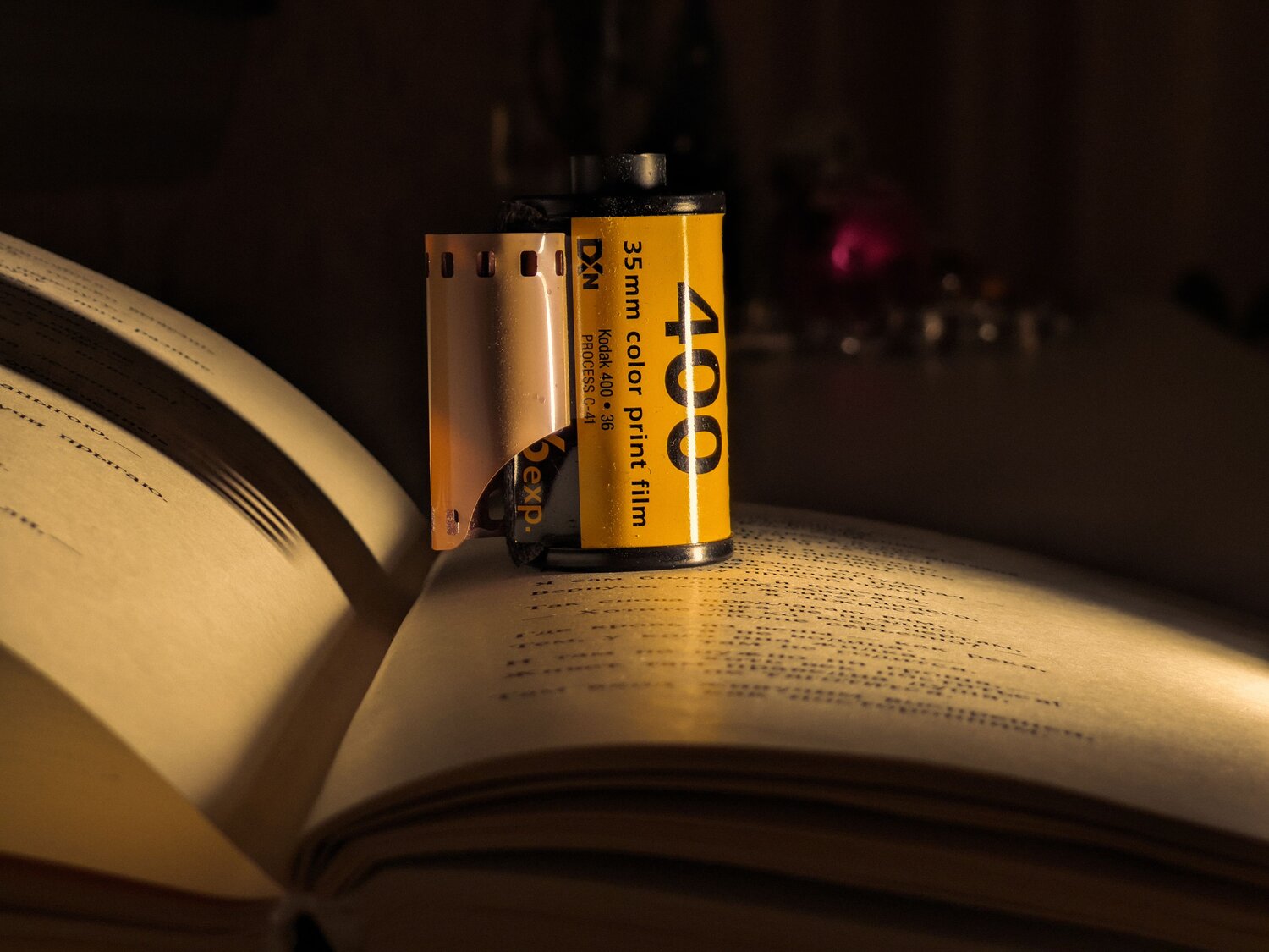 Photo #12979590