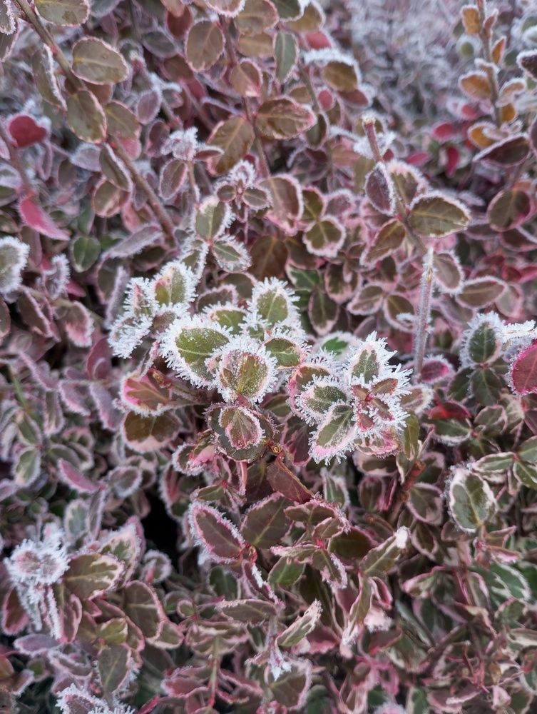 Photograph by Савина Анастасия Николаевна