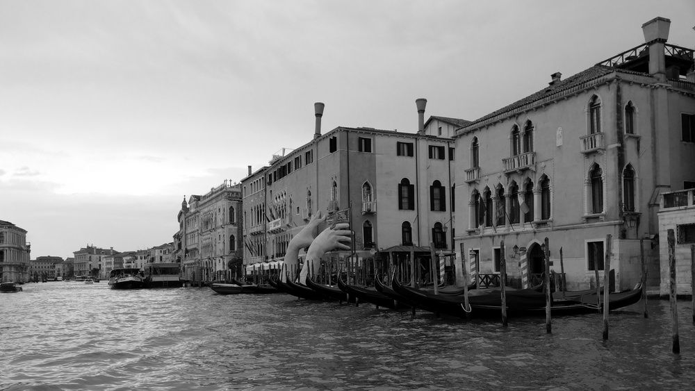 Photograph by николай зайцев