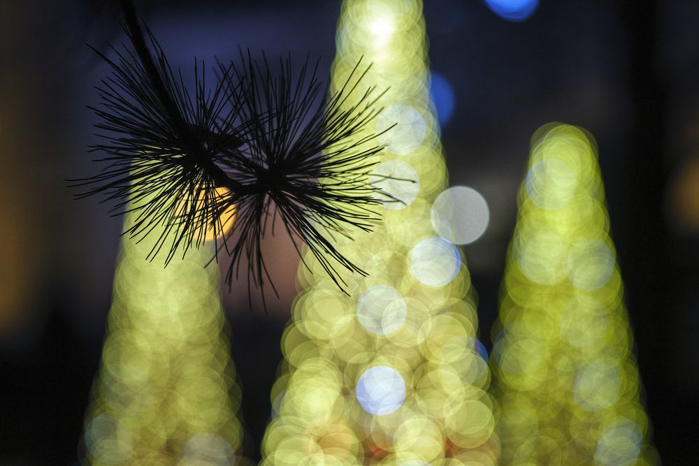 Фотография автора Eimar Kull