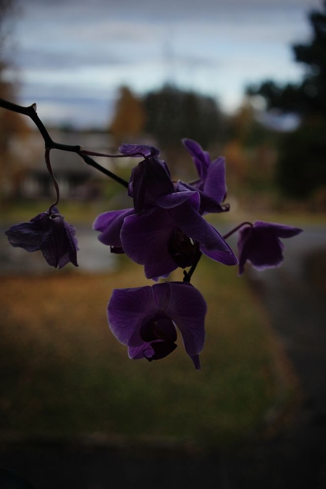 Photograph by Высоцкий Дмитрий
