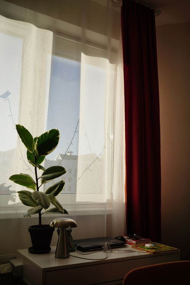 Photograph by Высоцкий Дмитрий