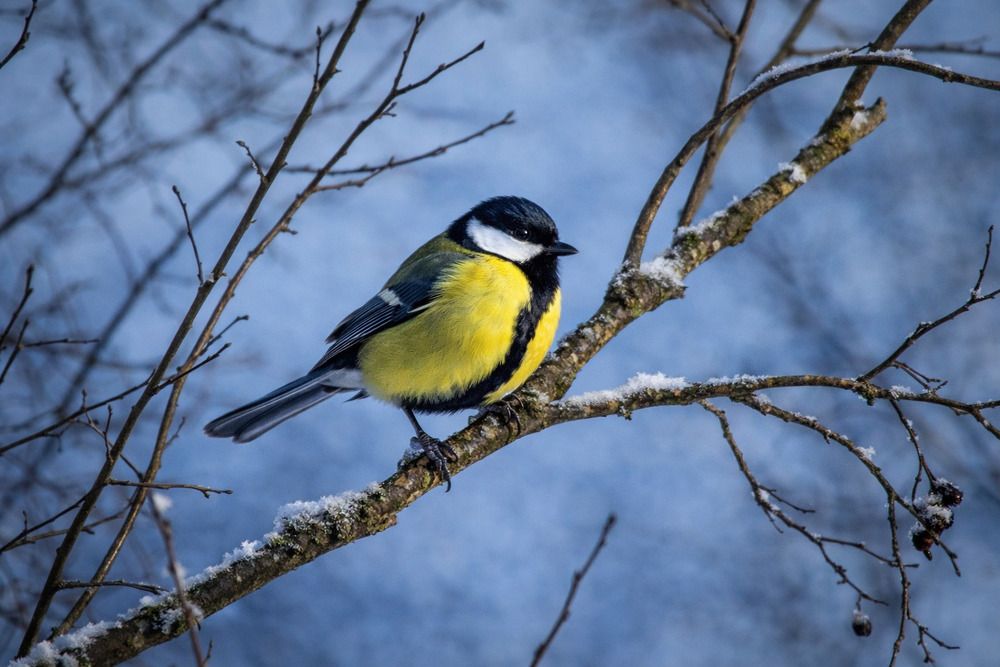 Photograph by Elena Istomina