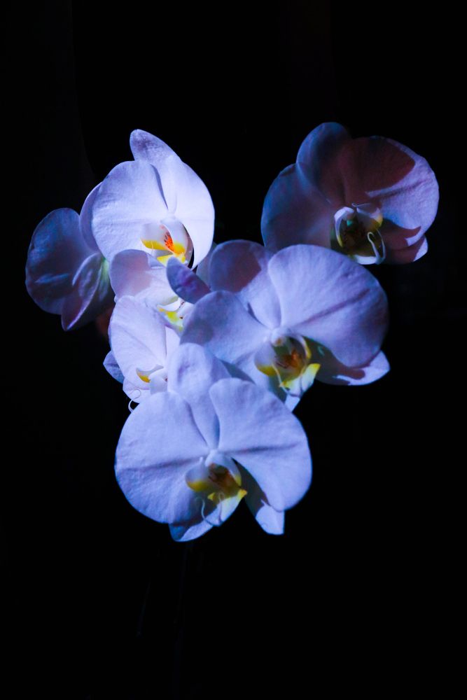 Photograph by Lina Slavinskaya