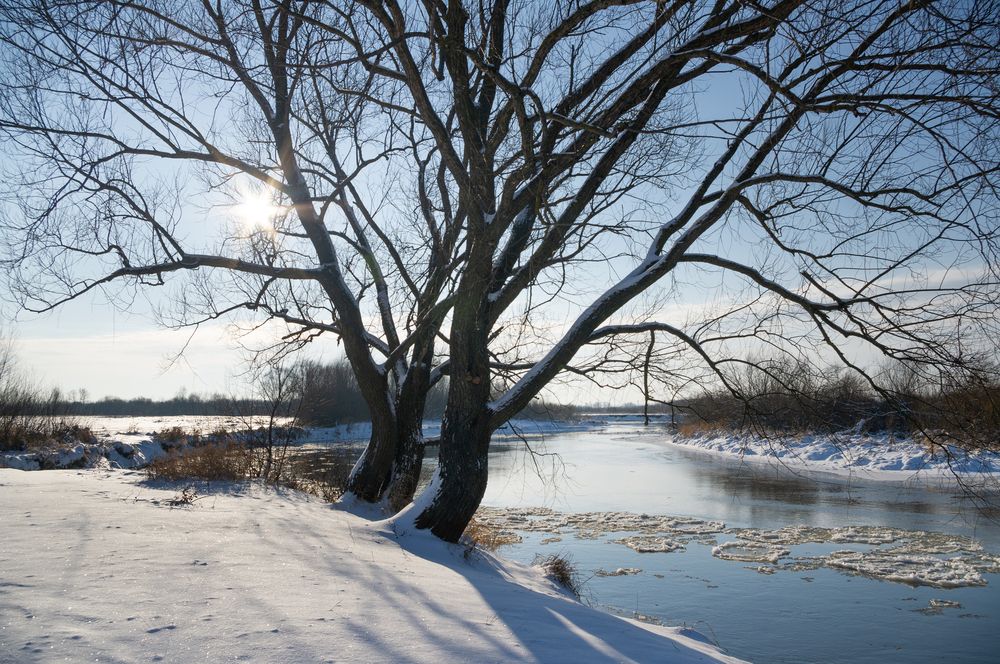 Photograph by Андрей