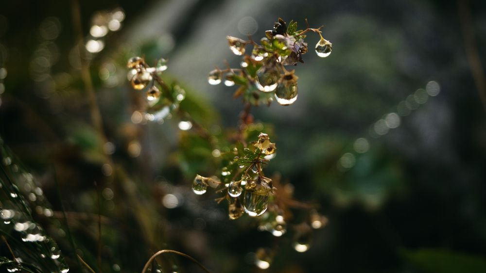 Photograph by Наталья Ерохина