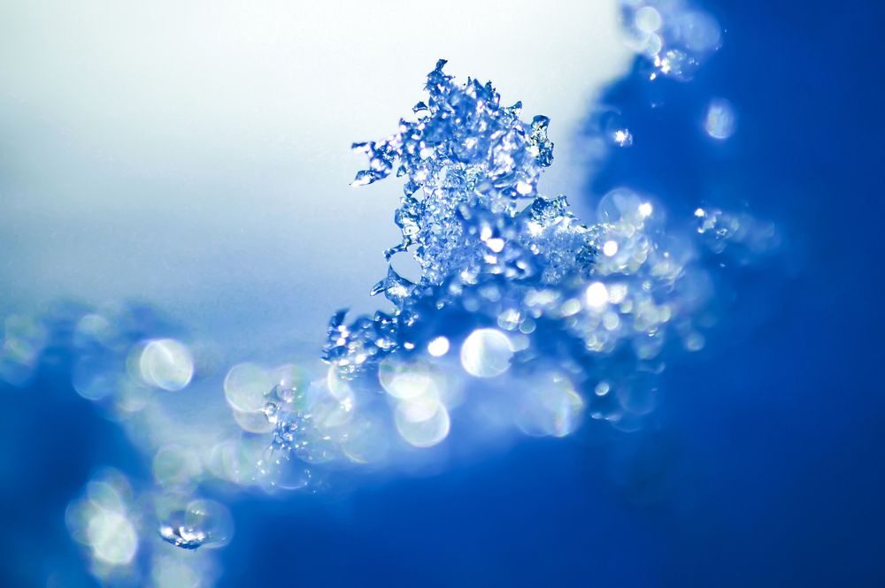 Photograph by Светлана Муравьева