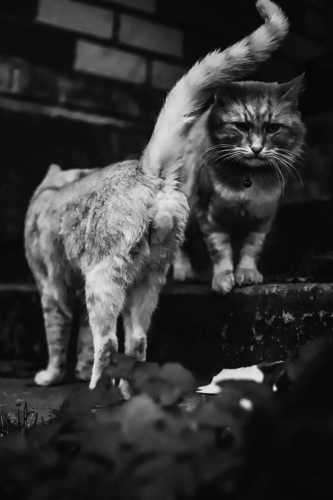 Photograph by Руслана Ковалевская