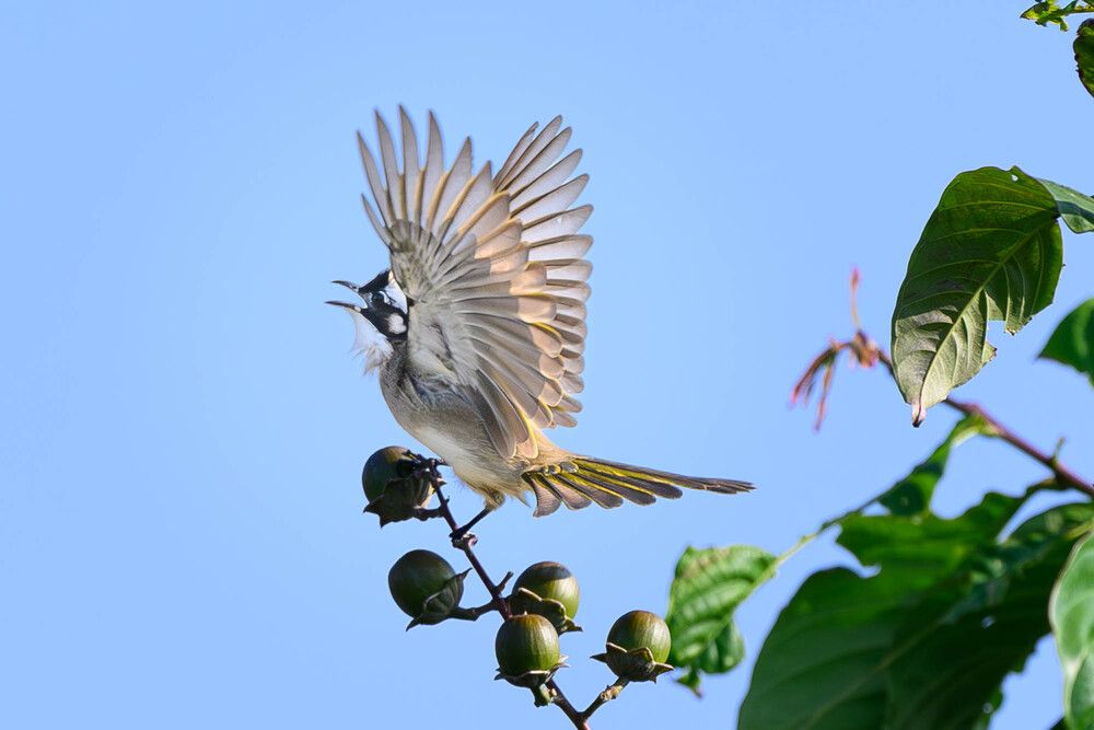 Photograph by Nonnie