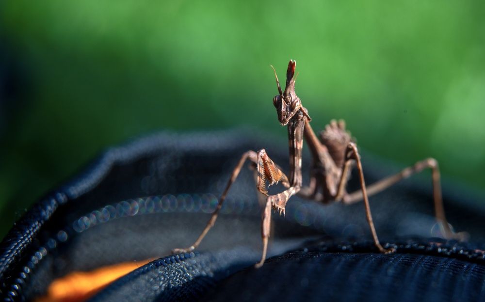 Photograph by Kirill Vladykin