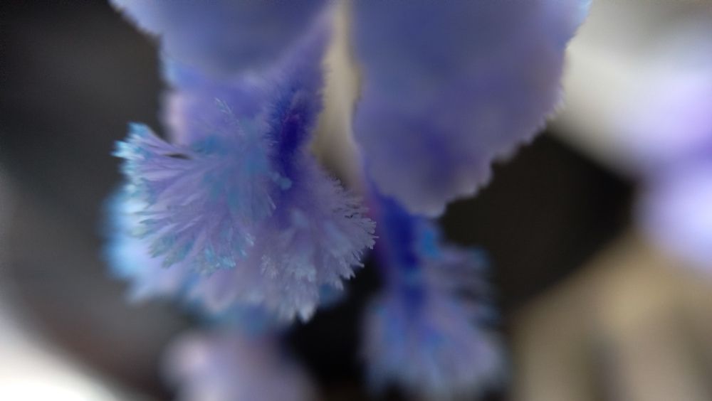 Photograph by Ника Ничай