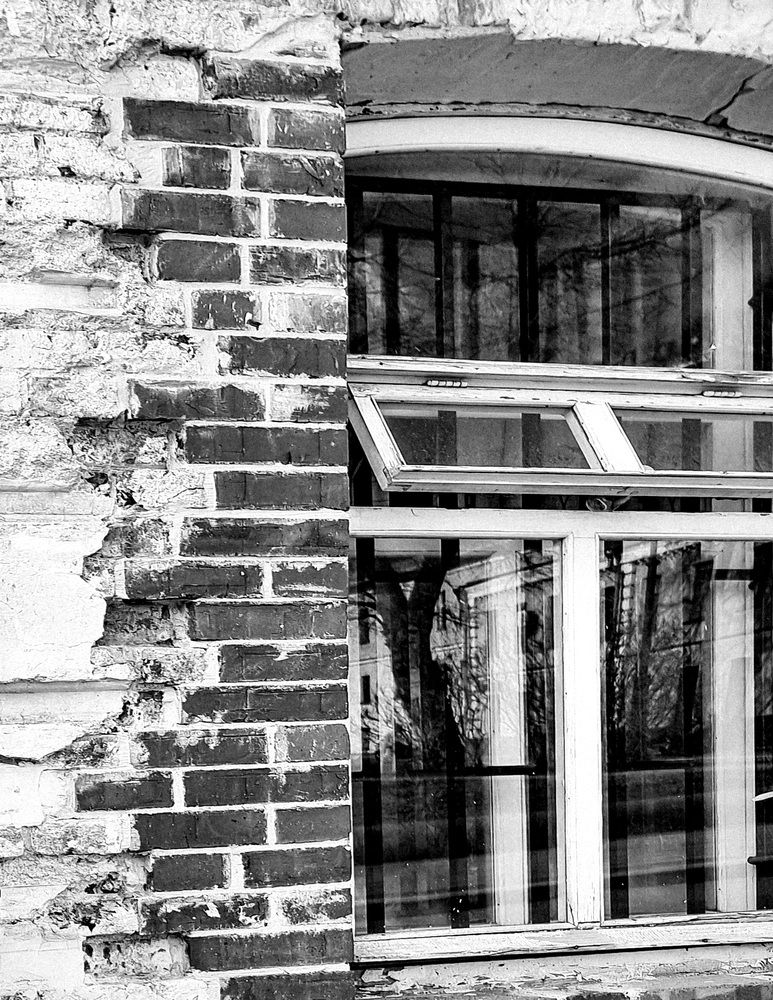 Фотография автора Светлана Алексеева