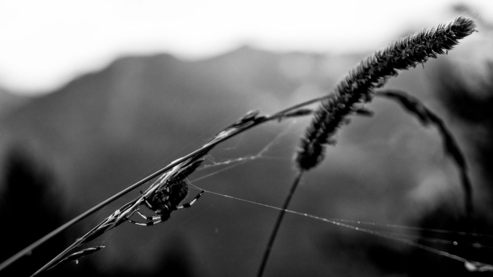 Photograph by Наталья Ерохина