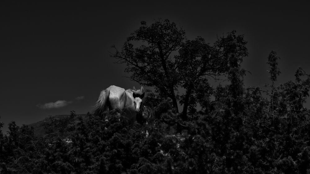 Photograph by Наталья Ерохина