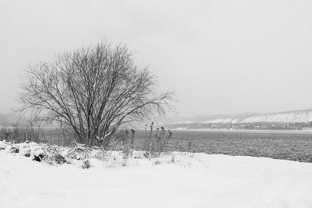 Photograph by Лариса Герасименко