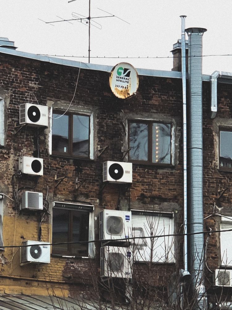 Фотография автора Светлана Алексеева