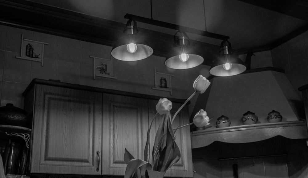 Photograph by Игорь Тамми