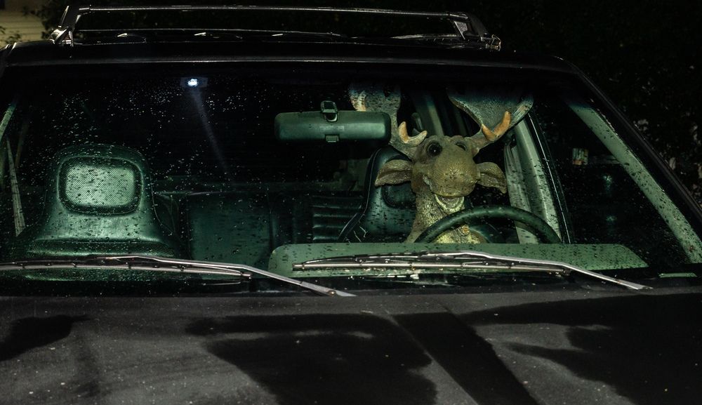 Photograph by Игорь Тамми