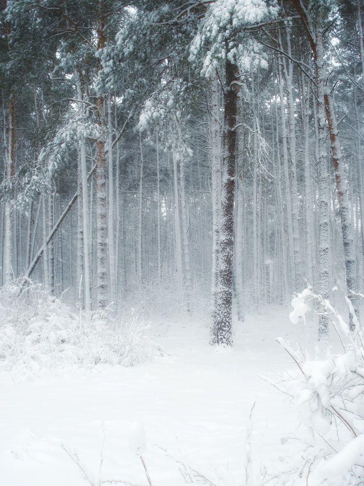 Photograph by Эмма Астапова